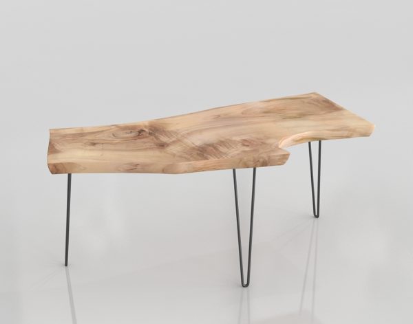 Wood Trunk Coffee Table 3D Model
