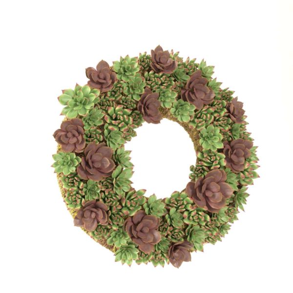 3D Live Succulent Wreath