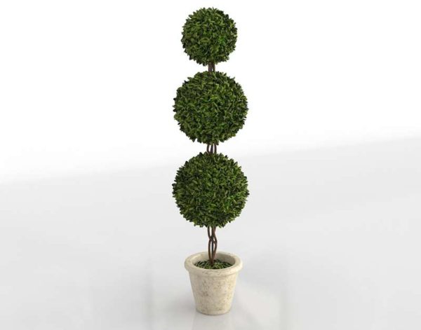 3D Boxwood Triple Topiary