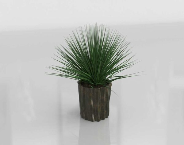 Maceta 3D de Cerámica con Planta