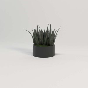 Maceta 3D Metal con Plantas