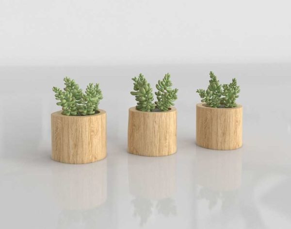 3D Wooden Planter Set of 3 with Plants