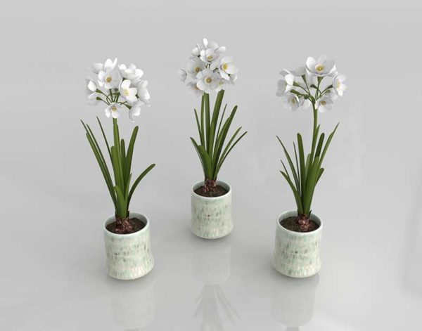 3D Planter Set of 3 with Flowers