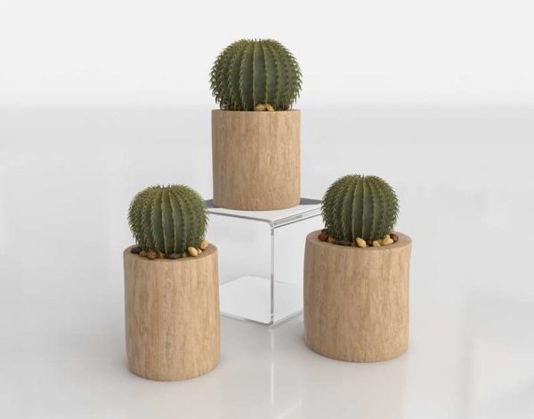 Macetas 3D de Madera con Cactus