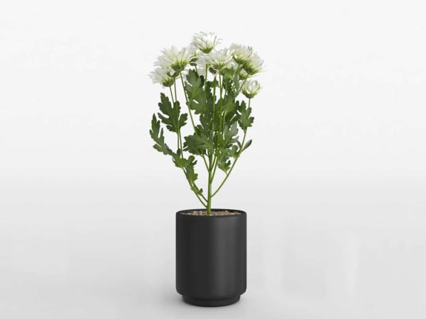 Maceta 3D IKEA Fejka con Chrysanthemum