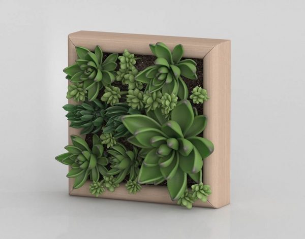 Modelo 3D Cuadro de Plantas Elia