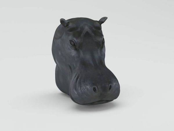 Hippopotamus Wall Figure 3D Model