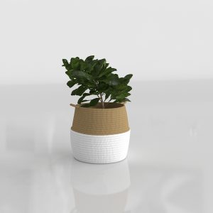 Tidy Basket with Plant 3D Model